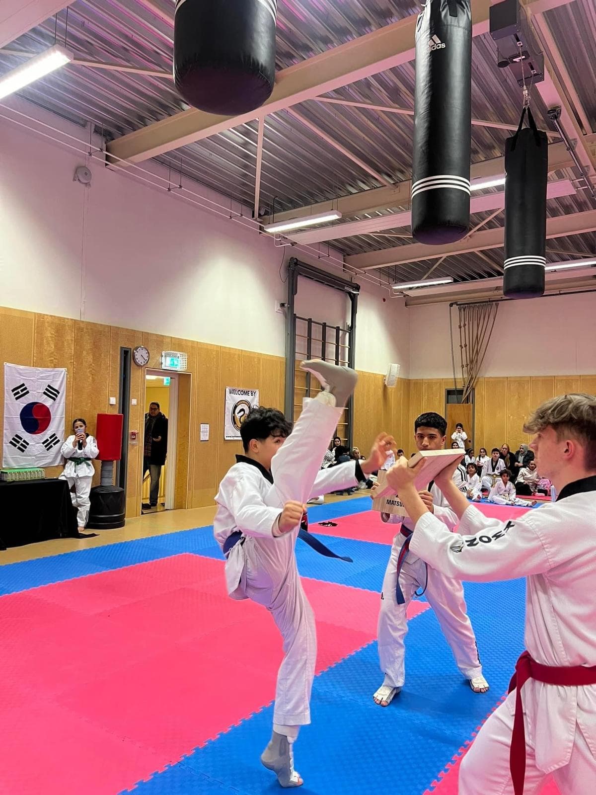 Planken breken demonstratie